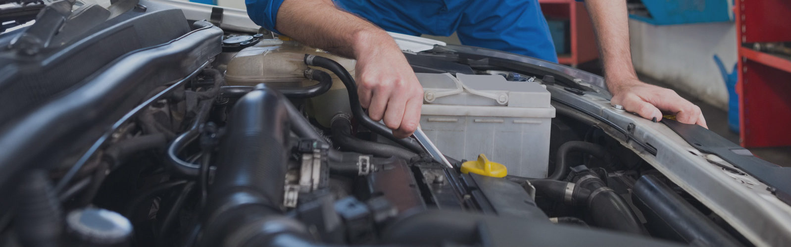 ci prendiamo cura della tua auto